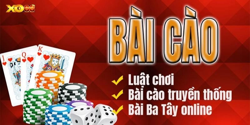 Cách chơi bài cào cực đơn giản và dễ tiếp cận