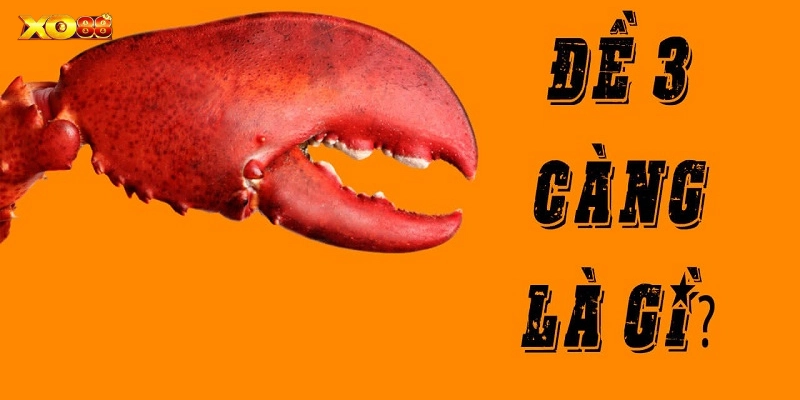 Cách Chơi 3 Càng Hiệu Quả