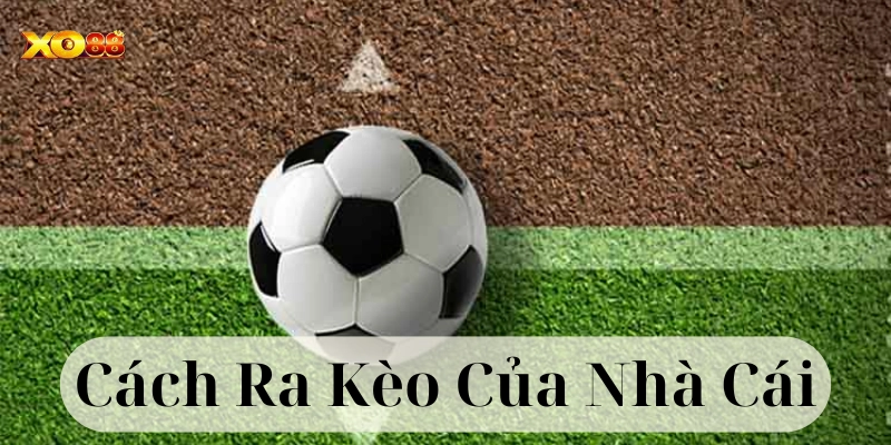 Cách Ra Kèo Của Nhà Cái – Bí Kíp Cao Thủ