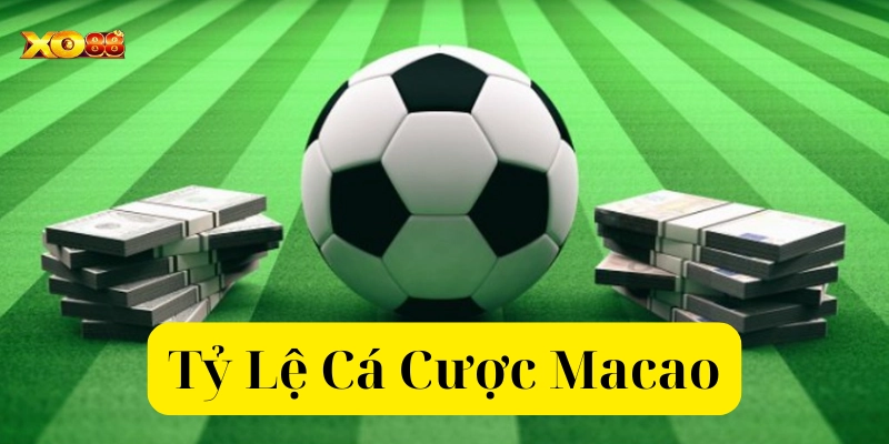 Cách mà Tỷ Lệ Kèo Macao hoạt động