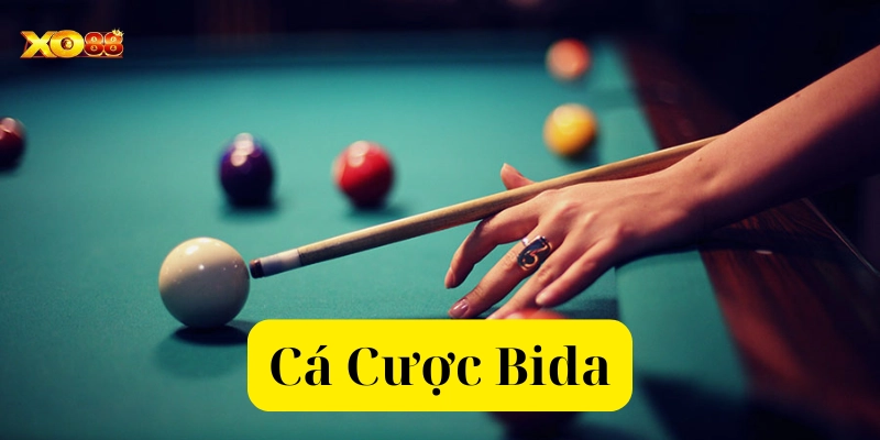 Tìm hiểu về Cá Cược Bida