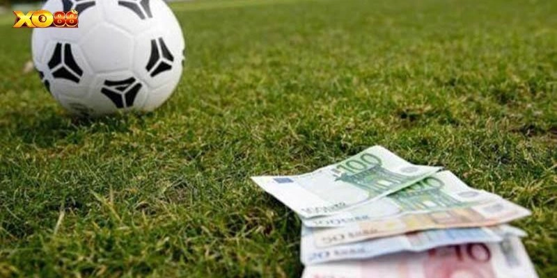 Bắt kèo ngay với các bước cơ bản