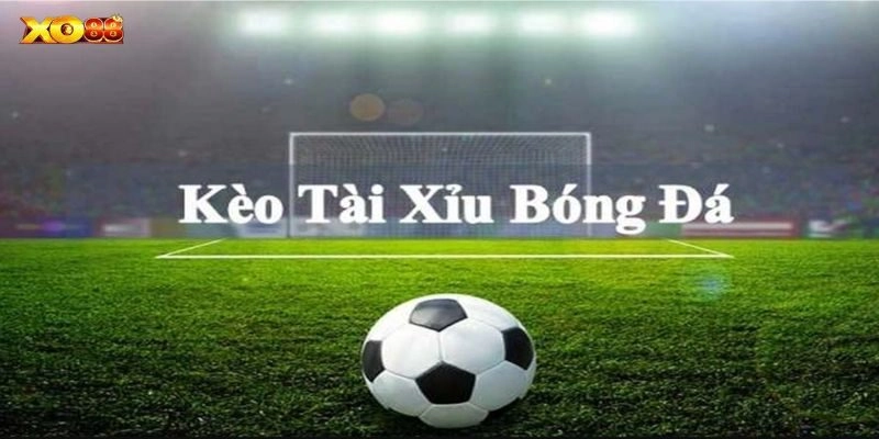 Các loại kèo tài xỉu hấp dẫn