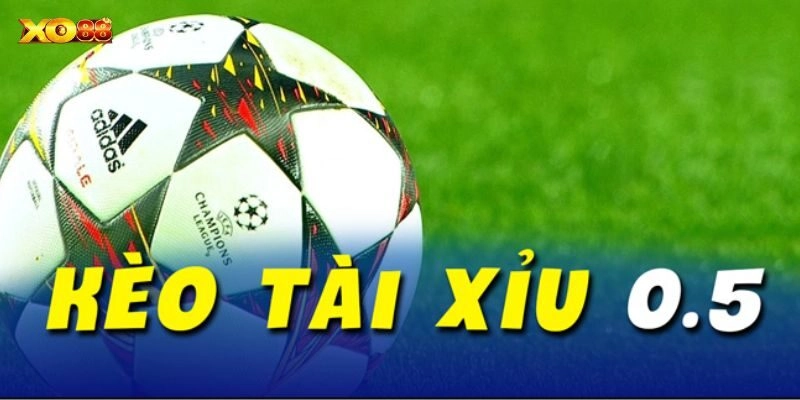 Đôi nét giới thiệu về kèo tài xỉu 0 5 1