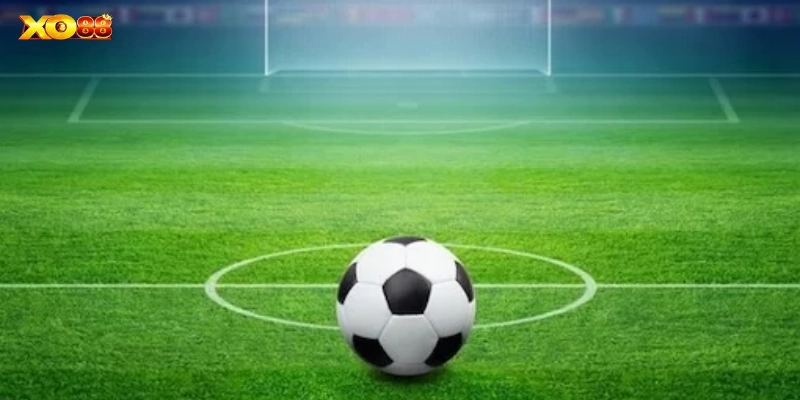 Kinh nghiệm bắt kèo thắng đậm từ cao thủ