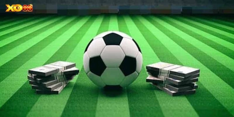 Lưu ý khi bắt kèo tại nhà cái