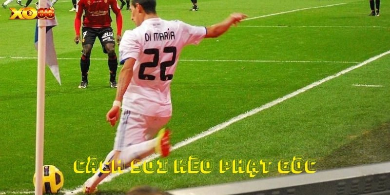 Ưu tiên chọn các trận đấu có tỷ lệ phạt góc cao