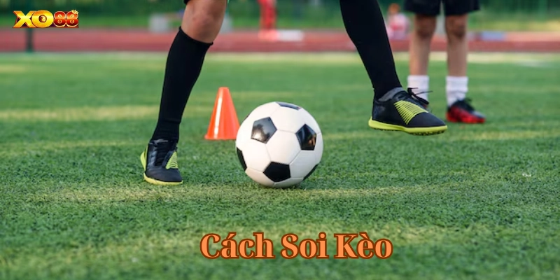 Cách soi các dạng kèo cơ bản