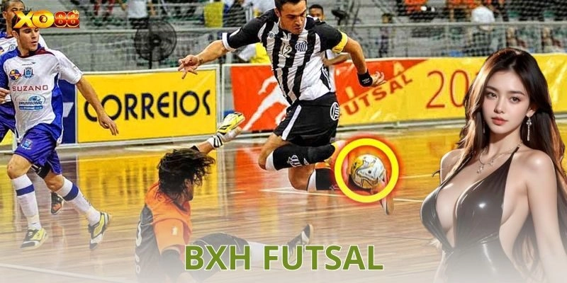 Tổng quan về Bxh Futsal Bundesliga 2024-2025