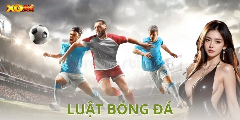 Tầm quan trọng của việc hiểu luật đối với người chơi và người xem