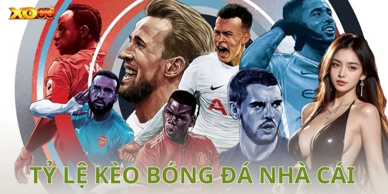 Cách đọc tỷ lệ kèo bóng đá nhà cái