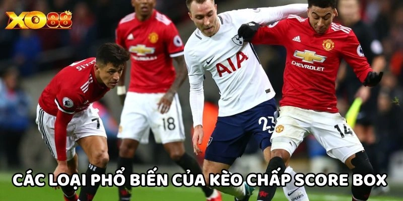 Kèo Chấp Score Box Là Gì? Hướng Dẫn Cho Người Mới