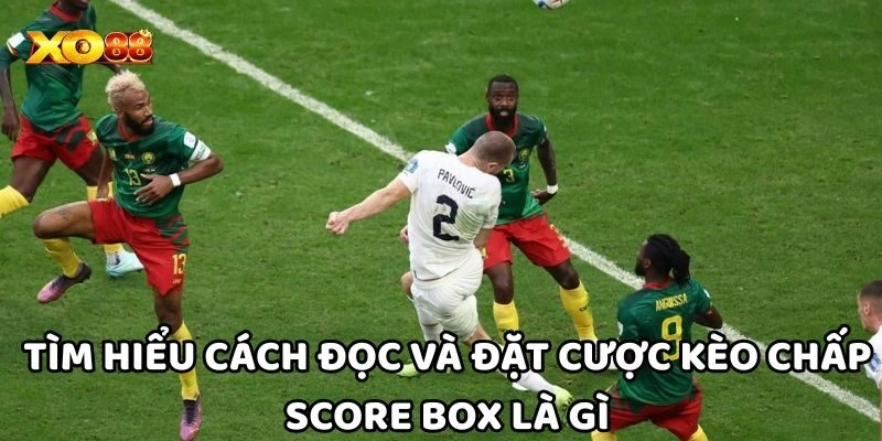 Tìm hiểu cách đọc và đặt cược Kèo Chấp Score Box Là Gì