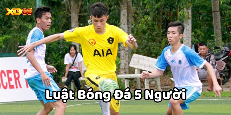 Luật bóng đá 5 người là gì?