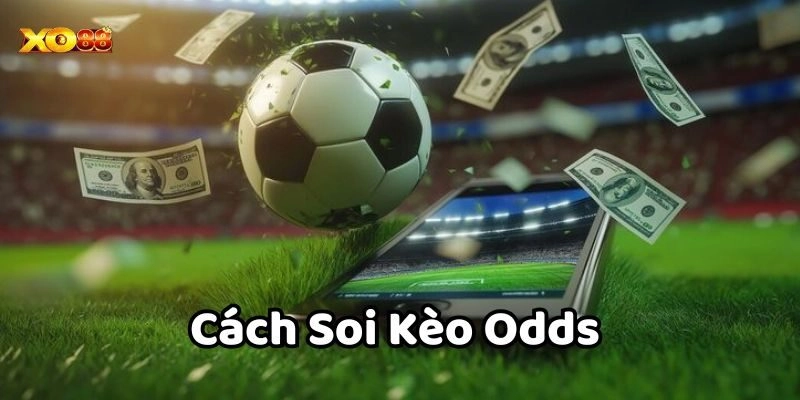 Cách Soi Kèo Odds Và Nhận Biết Kèo Nhà Cái 2025