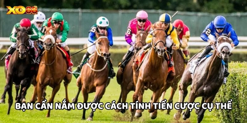 Cá Cược Đua Ngựa – Bộ Môn Giải Trí Hấp Dẫn Số 1 Tại Xo88