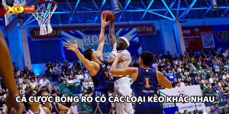 Cá Cược Bóng Rổ có các loại kèo khác nhau