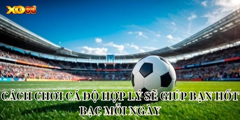 Cách chơi cá độ hợp lý sẽ giúp bạn hốt bạc mỗi ngày