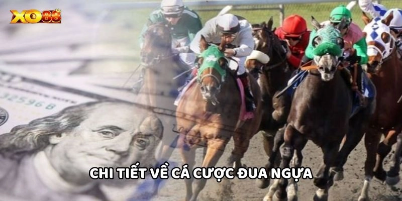 Chi tiết về Cá Cược Đua Ngựa