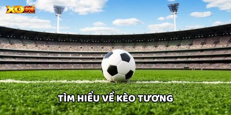 Tìm hiểu về Kèo Tương